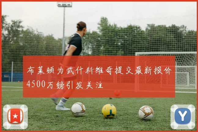 布莱顿为武什科维奇提交最新报价4500万镑引发关注